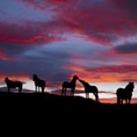 /photo/799138/开朗/8 (1) (2)kk_1_2_small.jpg